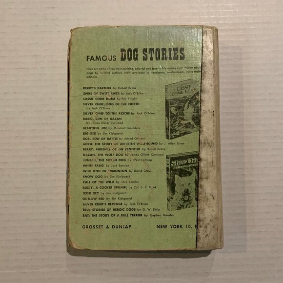 Outlaw Red - Jim Kjelgaard - Rare Hardcover Book - Vintage Kids - Picture 2 of 6